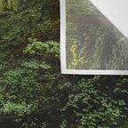 Appalachian Waterfall VII - Ricketts Glen Adventure Wall Tapestry Gallery Image 3