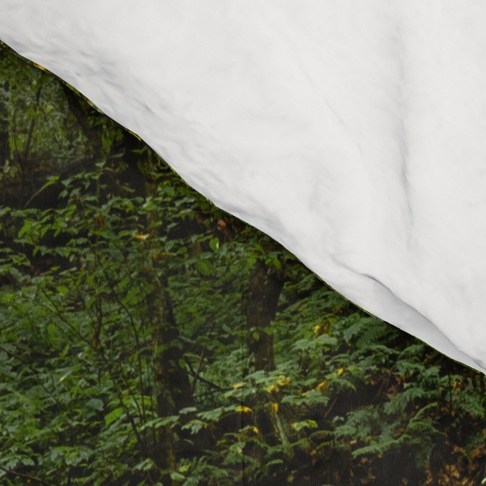 Appalachian Waterfall VII - Ricketts Glen Adventure Comforter Gallery Image 4
