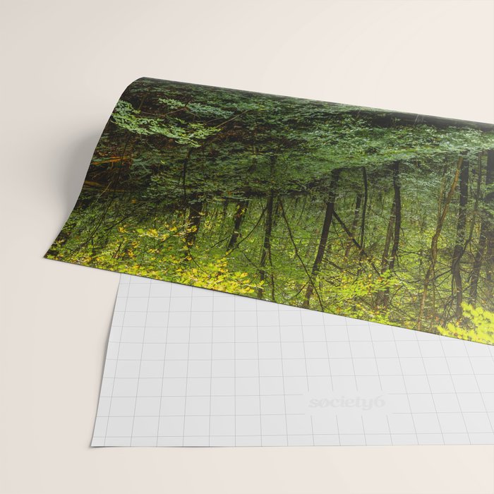 Appalachian Waterfall VII - Ricketts Glen Adventure Wrapping Paper Gallery Image 2