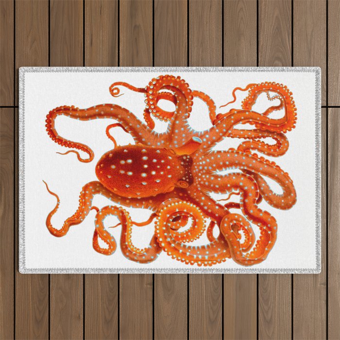 Vintage Octopus Outdoor Rug Gallery Image 1