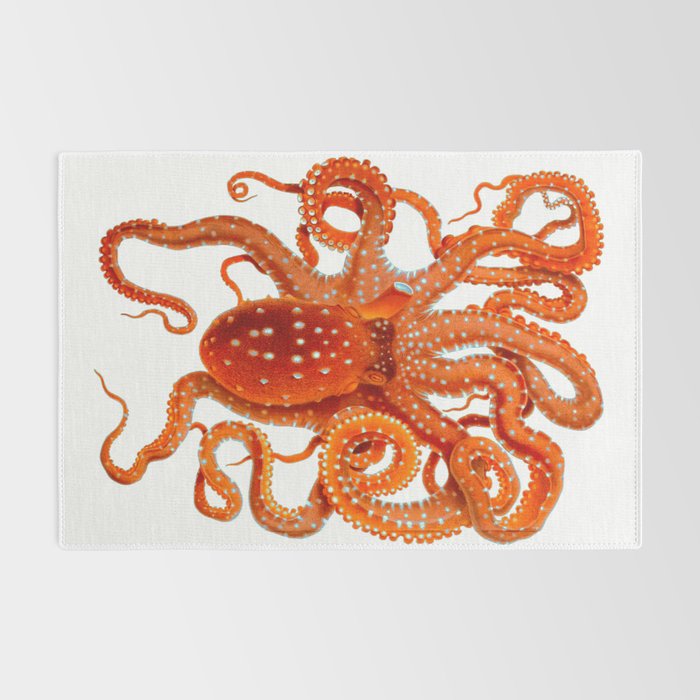 Vintage Octopus Rug Gallery Image 2