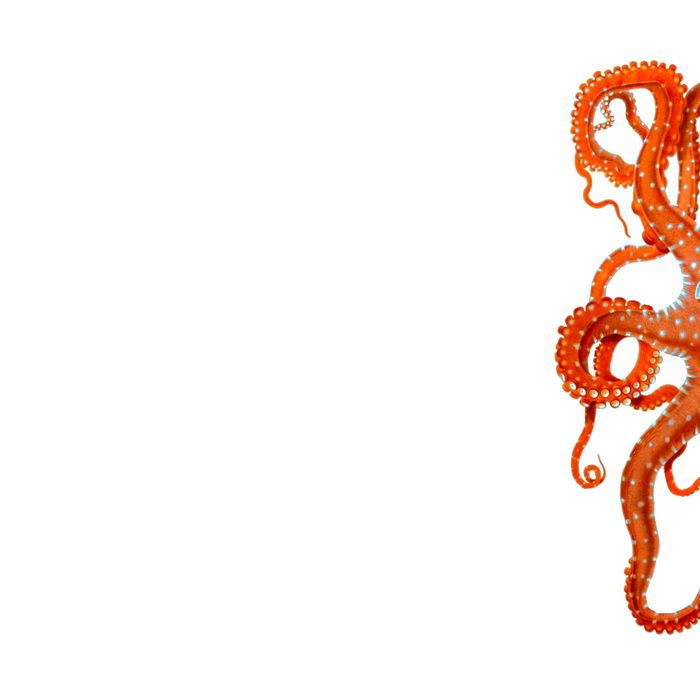 Vintage Octopus Coffee Mug Gallery Image 2