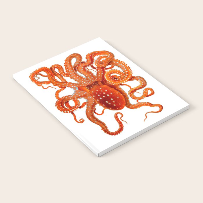 Vintage Octopus Notebook Gallery Image 1
