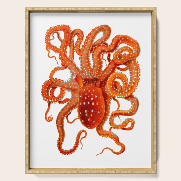 Vintage Octopus Serving Tray Gallery Image 1
