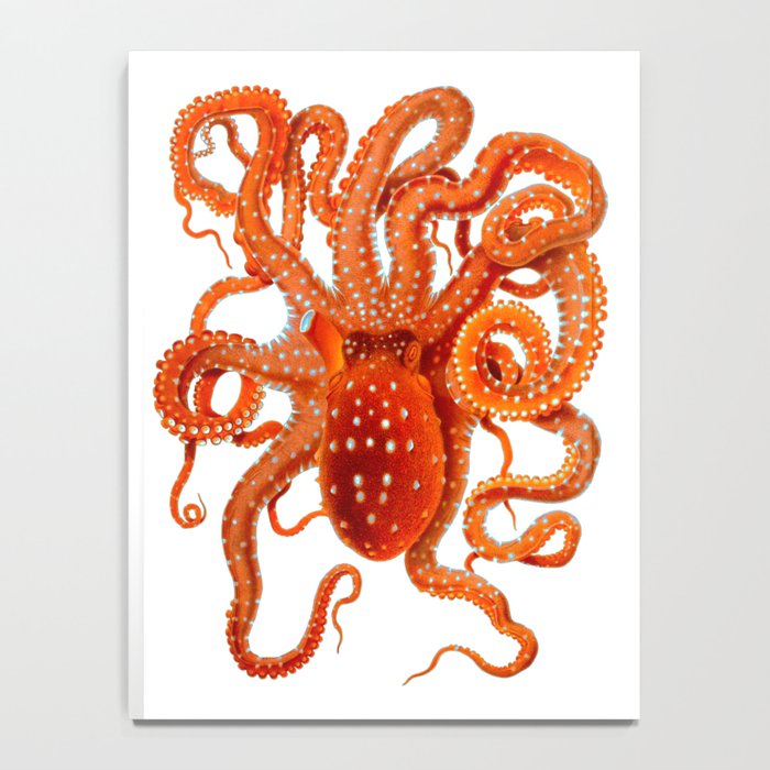 Vintage Octopus Notebook Gallery Image 4