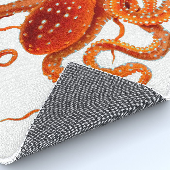 Vintage Octopus Rug Gallery Image 4