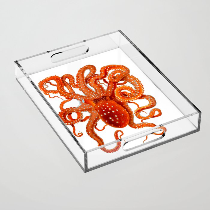 Vintage Octopus Acrylic Tray Gallery Image 1