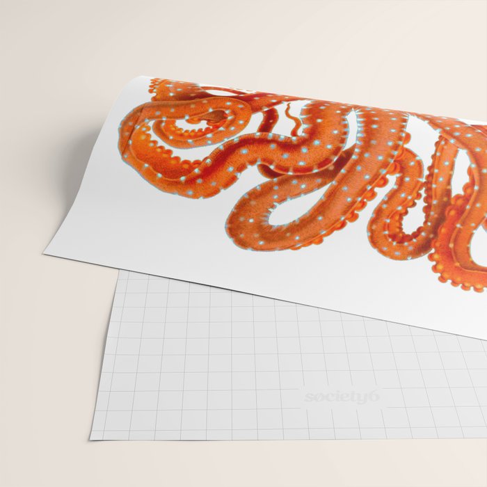 Vintage Octopus Wrapping Paper Gallery Image 2