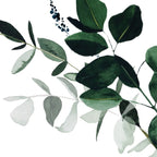 Botany Leaves ~Watercolor Coffee Mug Gallery Image 2