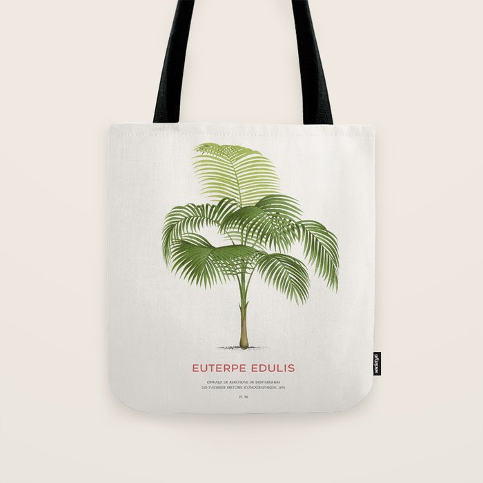 Palmiteiro palm tree scientific art Tote Bag Gallery Image 1