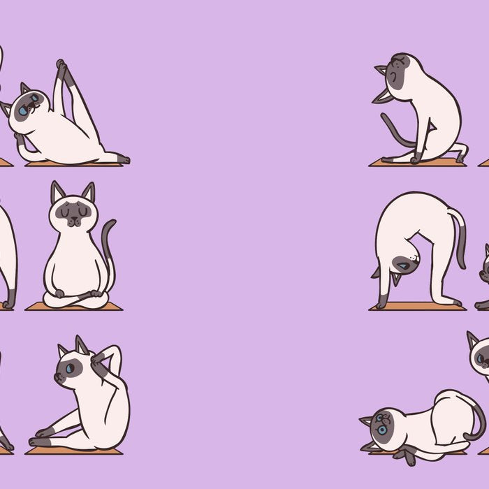 Siamese Cat Yoga Coffee Mug Gallery Image 2