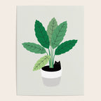 Cat and Plant 28: Something Fishy Poster Gallery Image 4