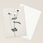 Flowers 21 Stationery Card Gallery Image 2