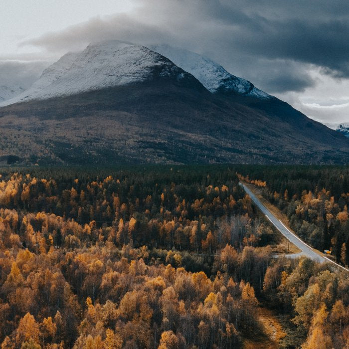 Arctic Autumn - Landscape and Nature Photography Coffee Mug Gallery Image 2