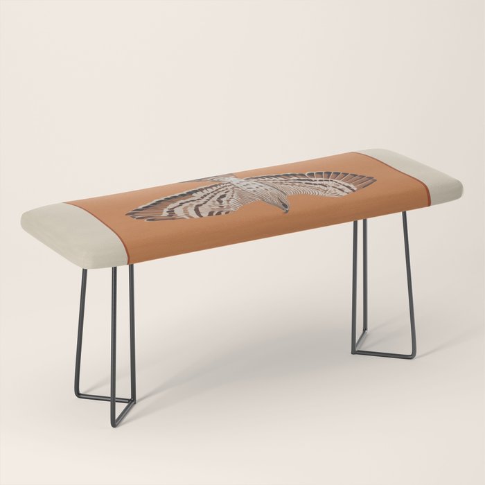 Hawk in Still Flight Bench Gallery Image 1