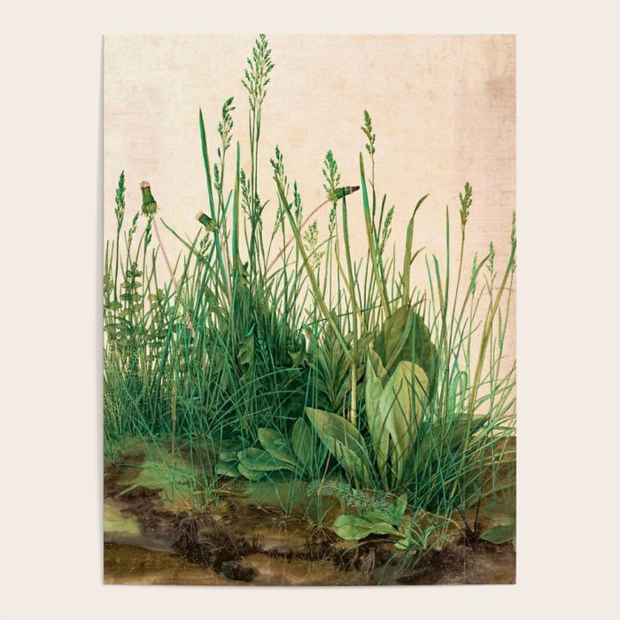 Albrecht Dürer The Great Piece of Turf ,1503 Poster Gallery Image 4