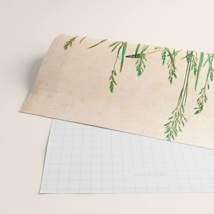 Albrecht Dürer The Great Piece of Turf ,1503 Wrapping Paper Gallery Image 2