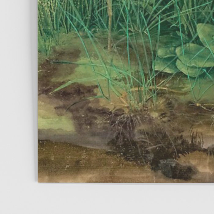 Albrecht Dürer The Great Piece of Turf ,1503 Poster Gallery Image 3