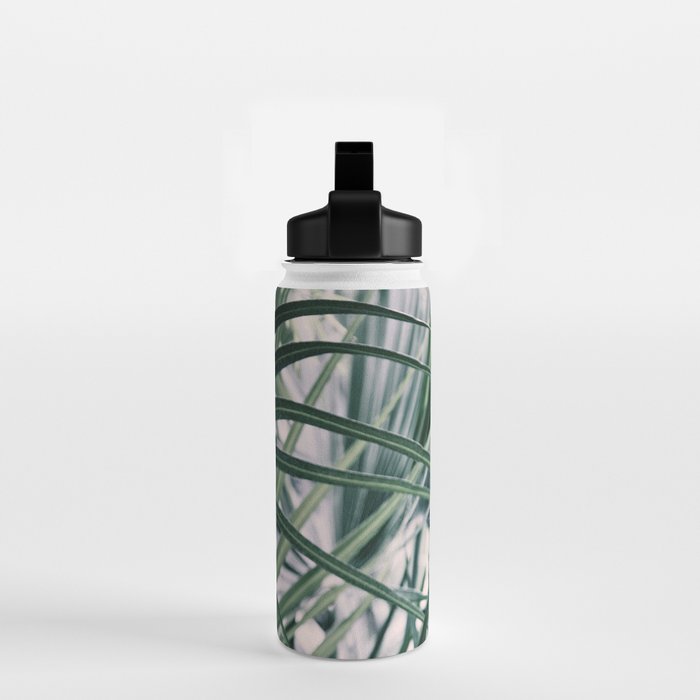 Fan Palms Galore - Tropical Nature Photography Water Bottle Gallery Image 2