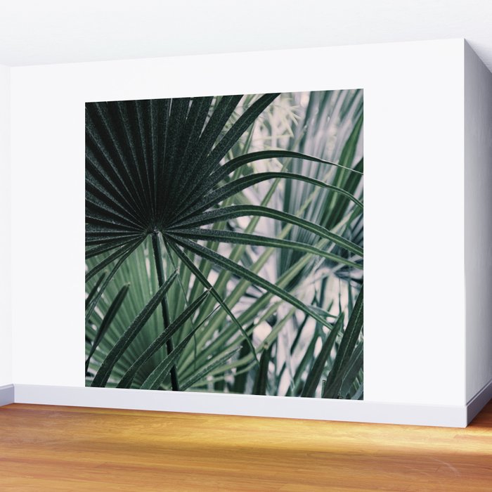 Fan Palms Galore - Tropical Nature Photography Wall Mural Gallery Image 2