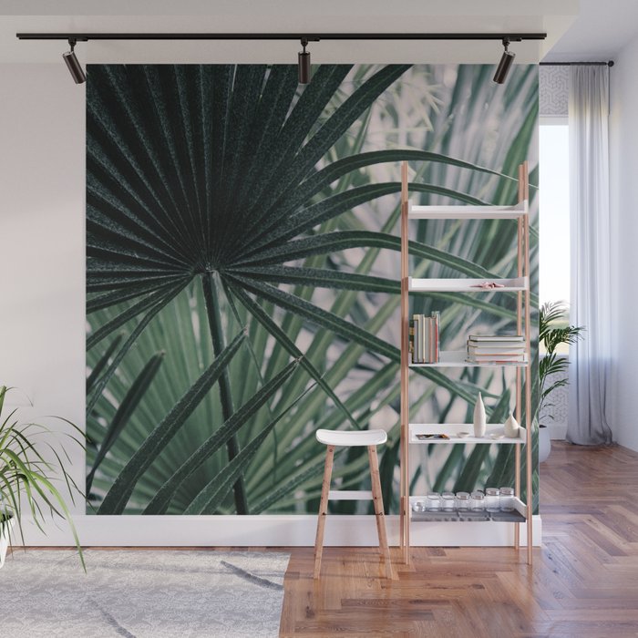 Fan Palms Galore - Tropical Nature Photography Wall Mural Gallery Image 1