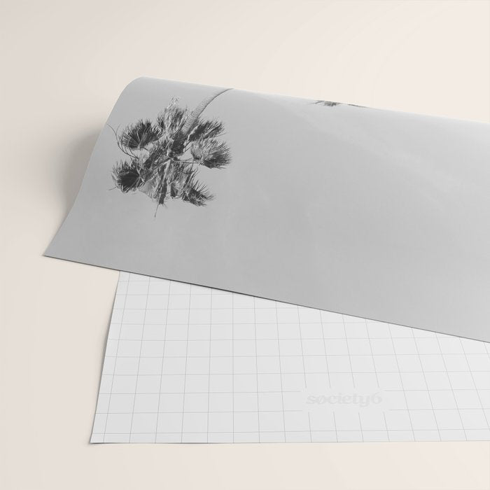 Black & White Palm Trees, Beach Palms Wrapping Paper Gallery Image 2