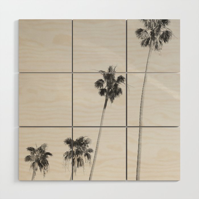 Black & White Palm Trees, Beach Palms Wood Wall Art Gallery Image 1