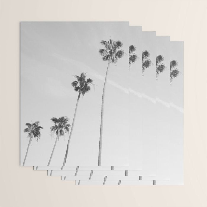 Black & White Palm Trees, Beach Palms Wrapping Paper Gallery Image 3