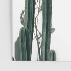 Desert Botanicals Poster Gallery Image 3