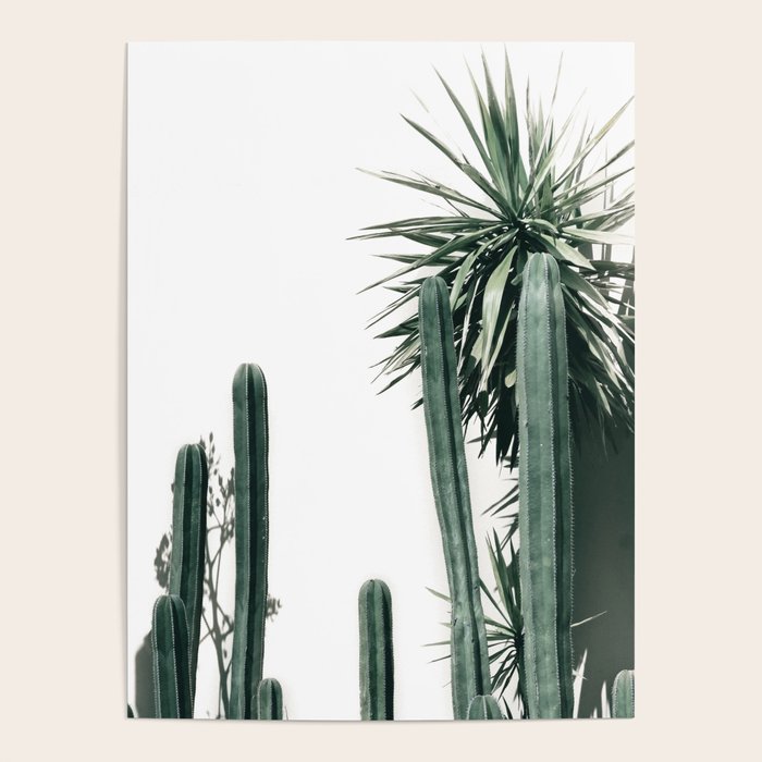 Desert Botanicals Poster Gallery Image 4