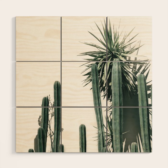 Desert Botanicals Wood Wall Art Gallery Image 1