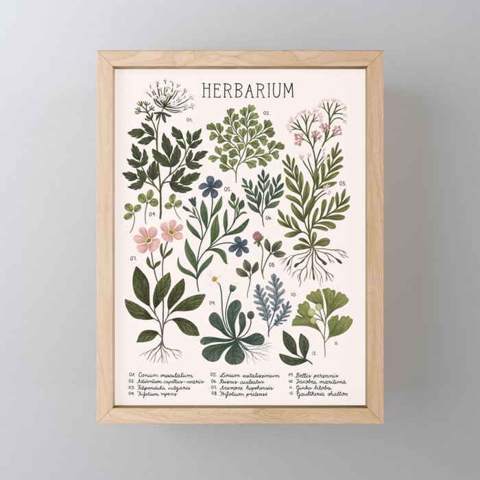 Herbarium ~ vintage inspired botanical art print ~ white Mini Art Print Gallery Image 1