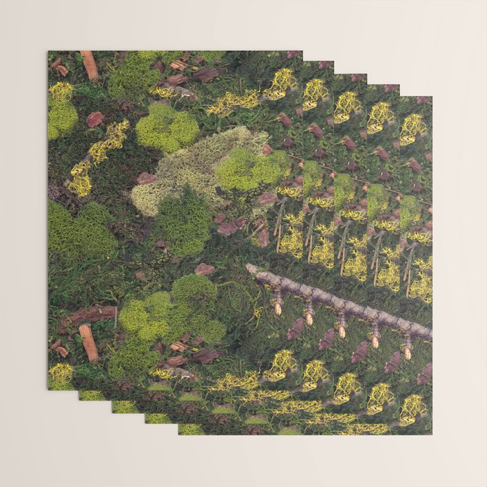 Forest Floor Wrapping Paper Gallery Image 3