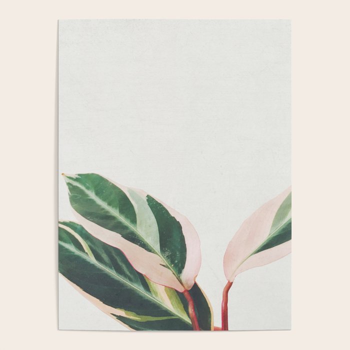 Pink Leaves III Poster Gallery Image 4