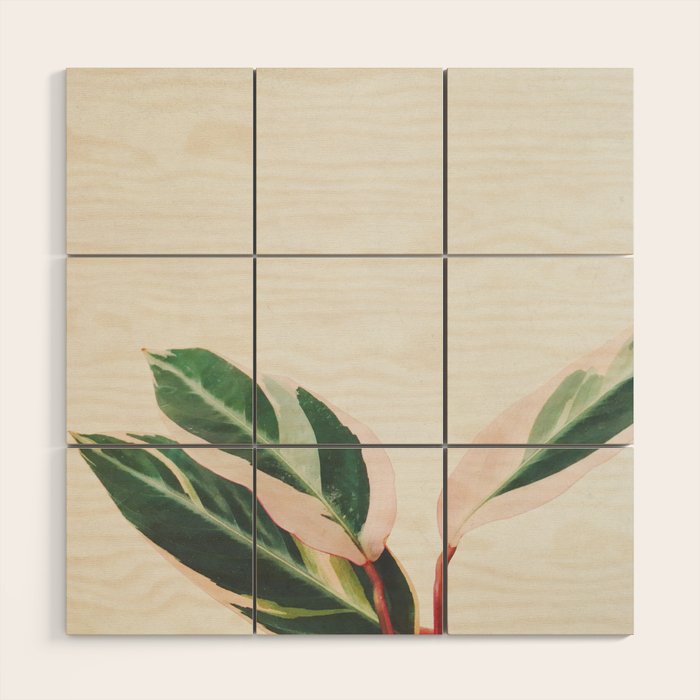 Pink Leaves III Wood Wall Art Gallery Image 1