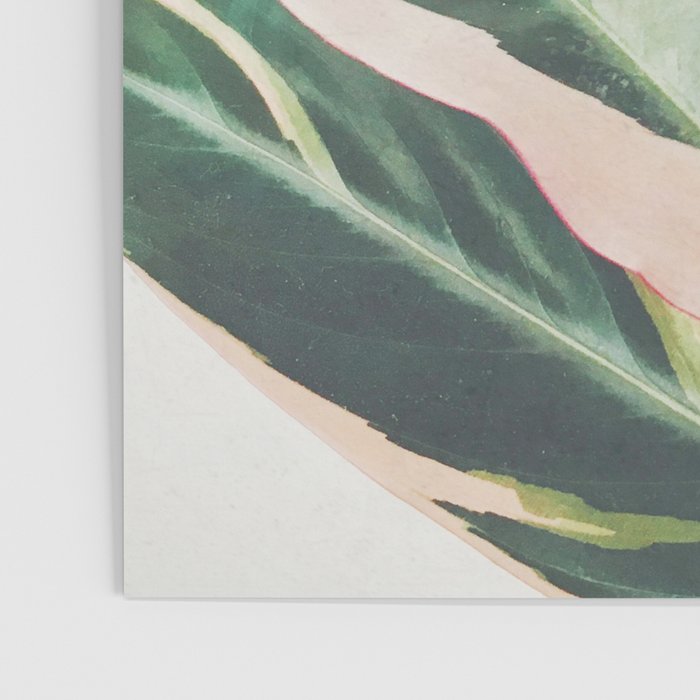 Pink Leaves III Poster Gallery Image 3