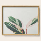 Pink Leaves III Serving Tray Gallery Image 1