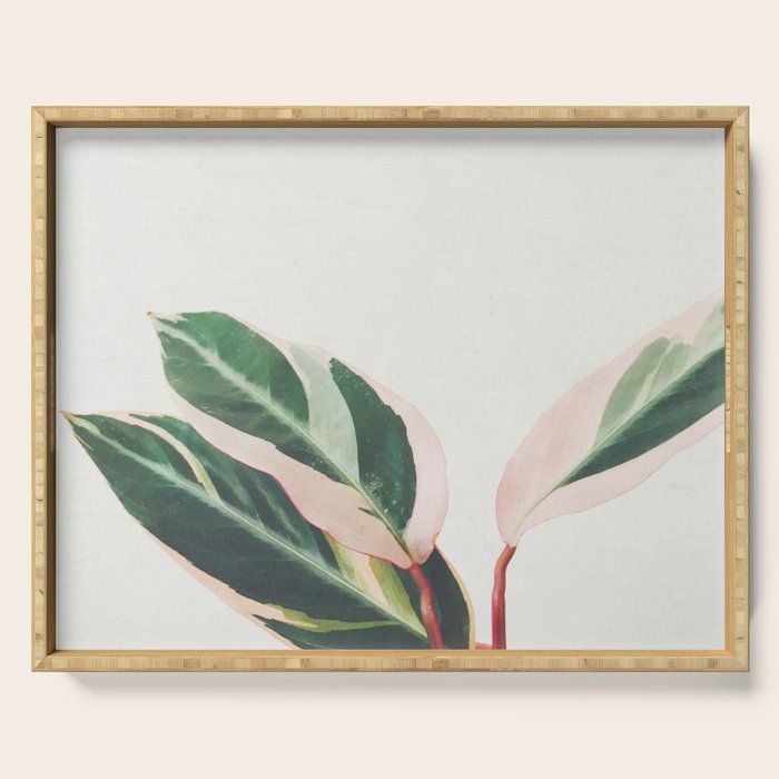 Pink Leaves III Serving Tray Gallery Image 1