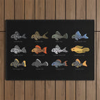 Pleco! Outdoor Rug Gallery Image 1