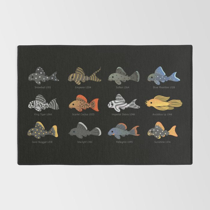 Pleco! Rug Gallery Image 2