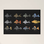 Pleco! Welcome Mat Gallery Image 1