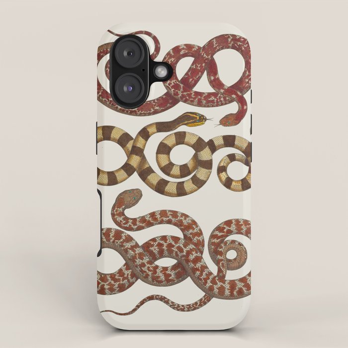 Albertus Seba A detailed description of the richest treasure of natural things iPhone Case Gallery Image 1