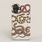 Albertus Seba A detailed description of the richest treasure of natural things iPhone Case Gallery Image 1