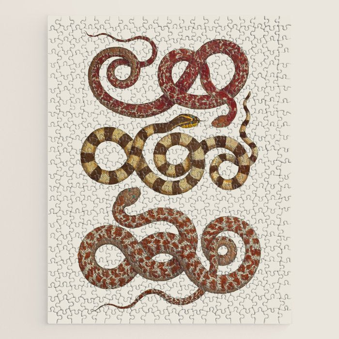 Albertus Seba A detailed description of the richest treasure of natural things Jigsaw Puzzle