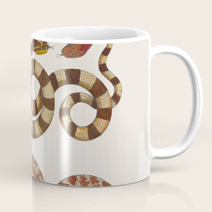 Albertus Seba A detailed description of the richest treasure of natural things Coffee Mug Gallery Image 1
