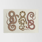 Albertus Seba A detailed description of the richest treasure of natural things Rug Gallery Image 2
