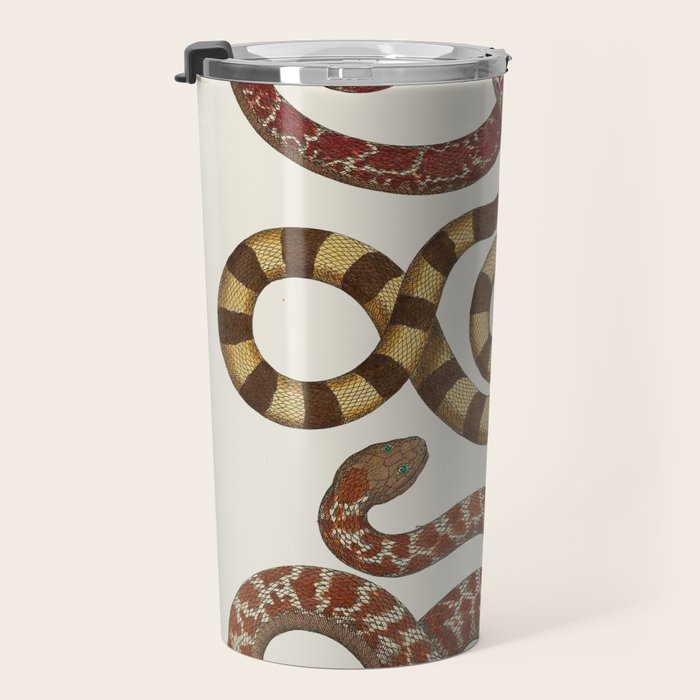 Albertus Seba A detailed description of the richest treasure of natural things Travel Mug Gallery Image 3