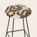 Albertus Seba A detailed description of the richest treasure of natural things Stool Gallery Image 2