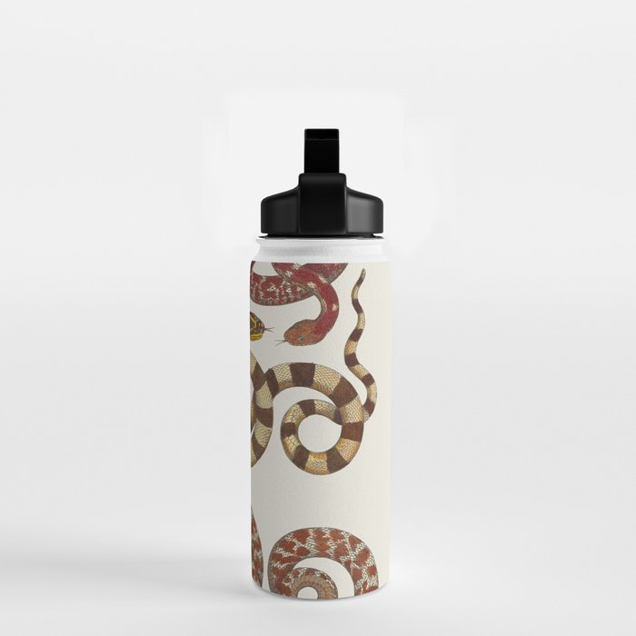 Albertus Seba A detailed description of the richest treasure of natural things Water Bottle Gallery Image 2