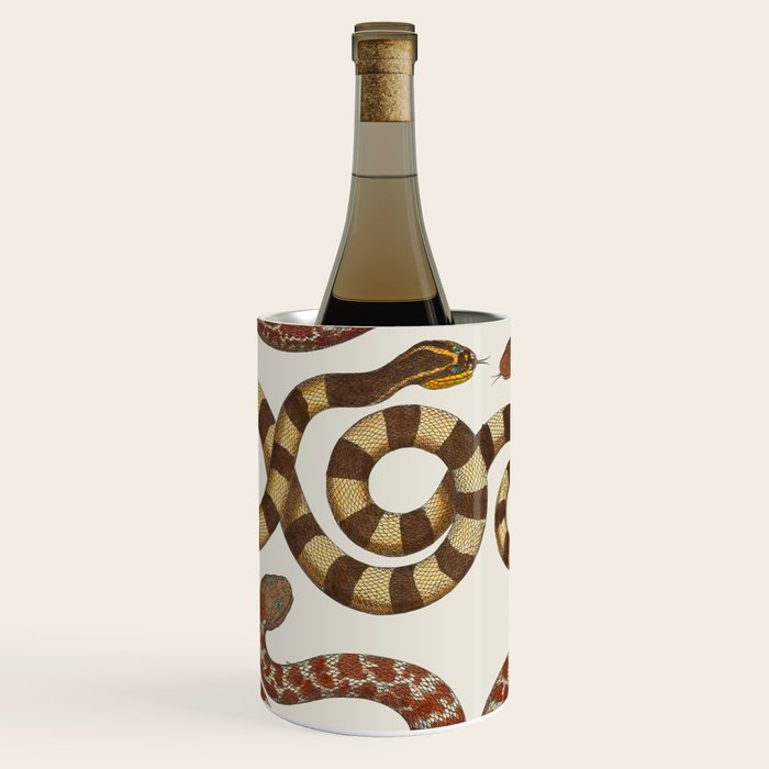 Albertus Seba A detailed description of the richest treasure of natural things Wine Chiller Gallery Image 1